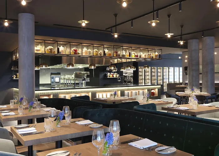 Renaissance Airport 5*